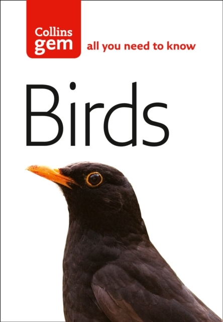 Billede af Birds