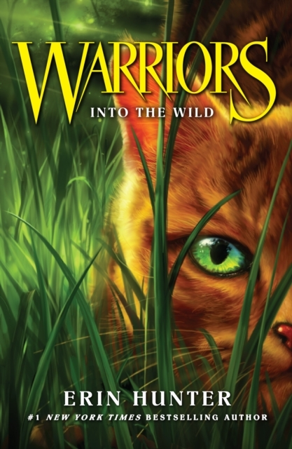 Billede af Into the Wild