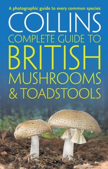 Billede af Collins Complete British Mushrooms And Toadstools The Essential Photograph Guide To BritainâS Fungi