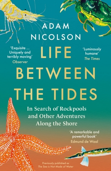 Life Between The Tides In Search Of Rockpools And Other Adventures Along The Shore