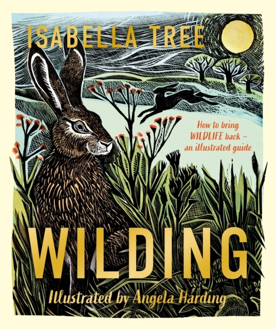 Billede af Wilding: How To Bring Wildlife Back - An Illustrated Guide
