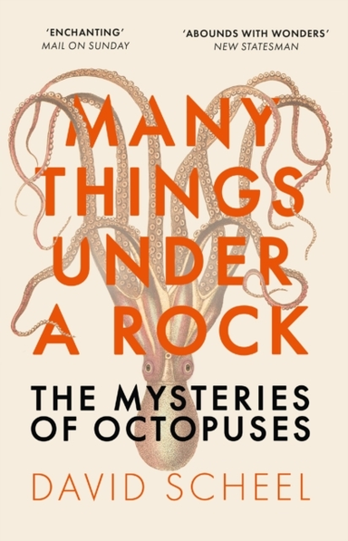 Many Things Under A Rock The Mysteries Of Octopuses