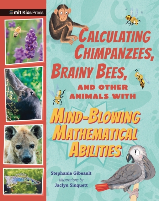 Billede af Calculating Chimpanzees, Brainy Bees, And Other Animals With Mind-Blowing Mathematical Abilities