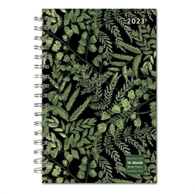 Designer Fancy Ferns