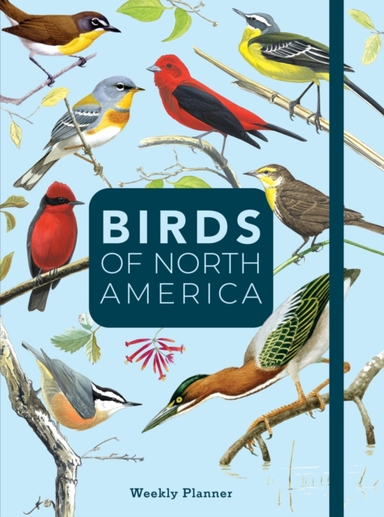 Birds Of North America Undated Weekly And Monthly Planner