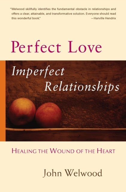 Billede af Perfect Love, Imperfect Relationships Healing The Wound Of The Heart