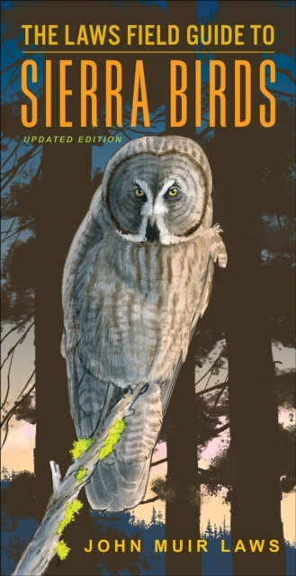 The Laws Field Guide To Sierra Birds