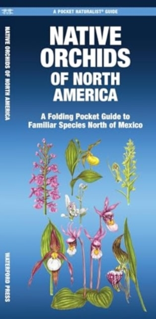 Billede af Native Orchids Of North America A Folding Pocket Guide To Familiar Species North Of Mexico