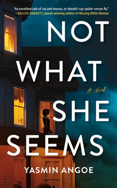 Not What She Seems A Novel