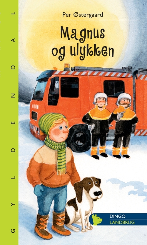 Billede af Magnus og ulykken
