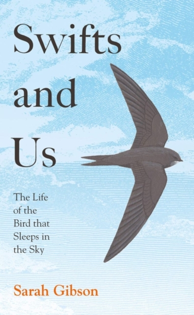 Swifts And Us The Life Of The Bird That Sleeps In The Sky