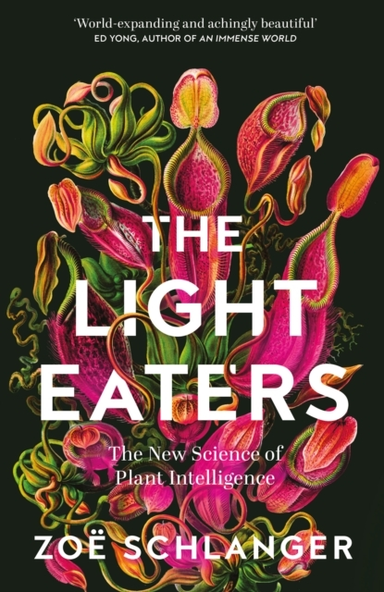 The Light Eaters The New Science of Plant Intelligence