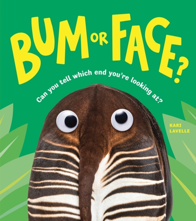 Bum Or Face