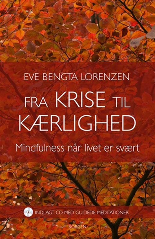 Billede af Fra krise til kærlighed