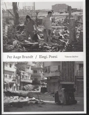 Billede af Elegi. Poesi