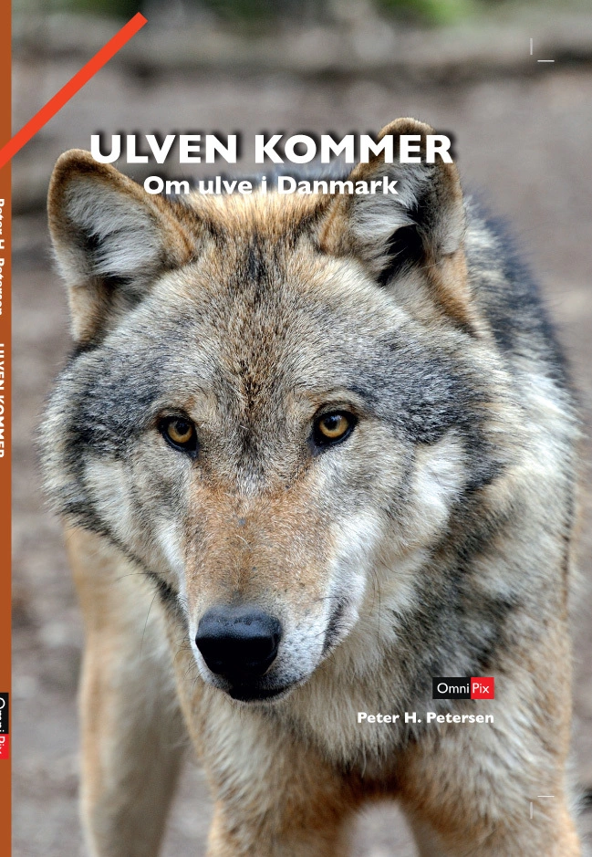 Billede af Ulven kommer