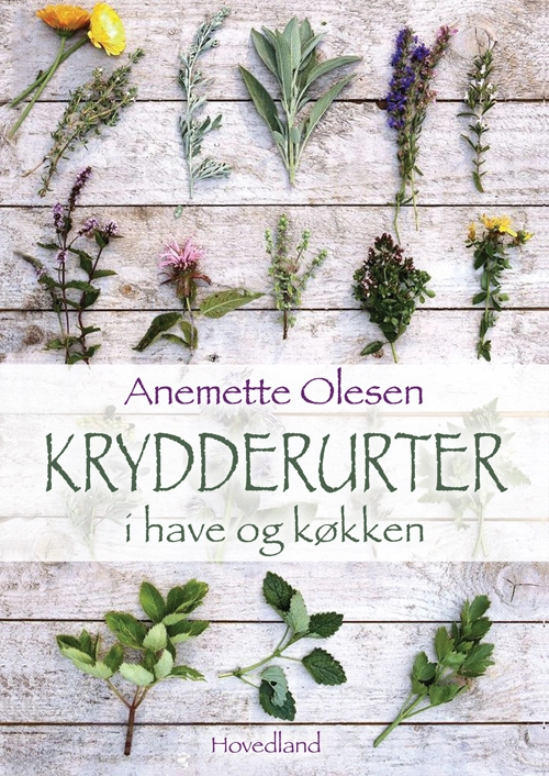 Billede af Krydderurter i have og køkken