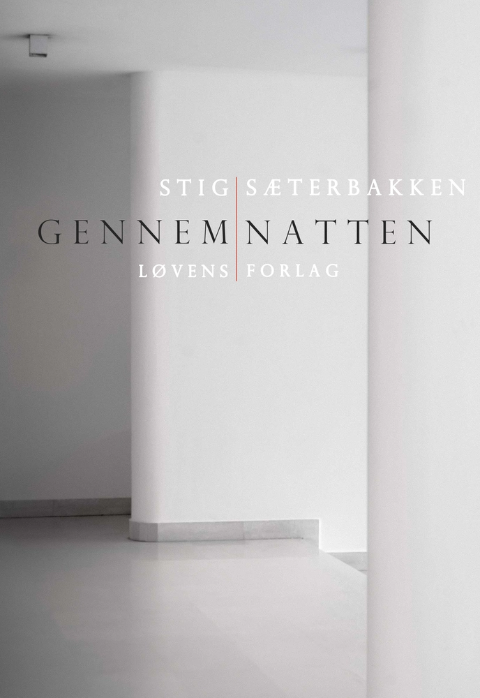 Billede af Gennem natten