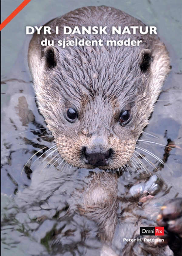 Billede af DYR I DANSK NATUR