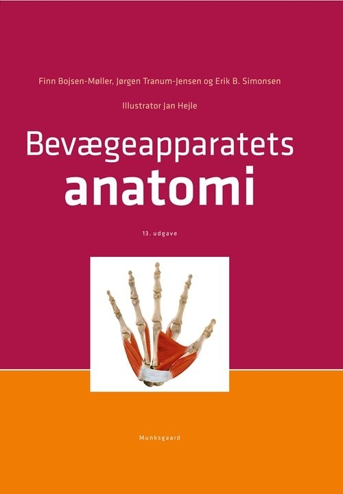 Billede af Bevægeapparatets anatomi