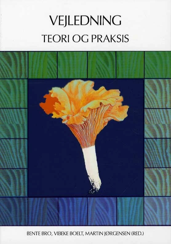 Billede af Vejledning - teori og praksis