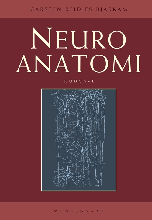 Billede af Neuroanatomi