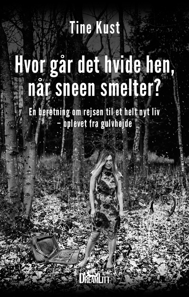Billede af Hvor går det hvide hen, når sneen smelter
