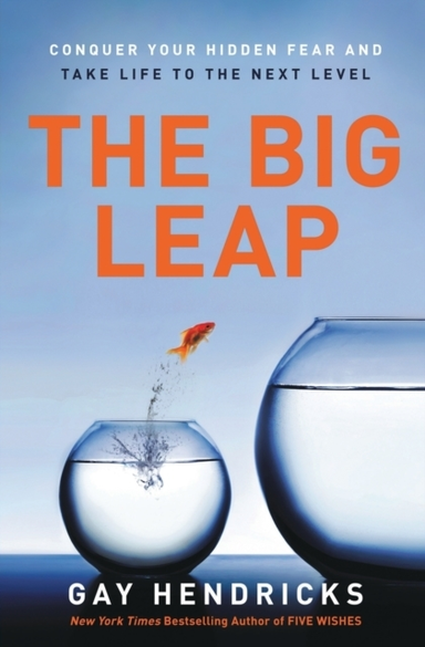 The Big Leap Conquer Your Hidden Fear And Take Life To The N
