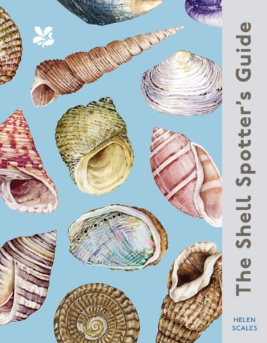 The Shell Spotter’S Guide