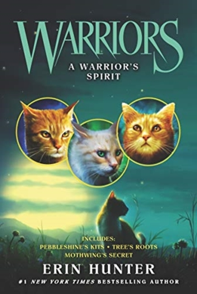 Warriors: A Warrior’S Spirit