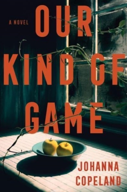 Billede af Our Kind Of Game A Novel
