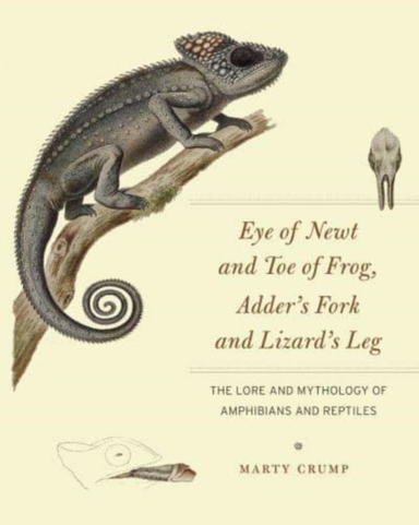 Eye Of Newt And Toe Of Frog, Adder'S Fork And Lizard'S Leg T