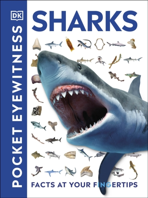 Pocket Eyewitness Sharks Facts At Your Fingertips