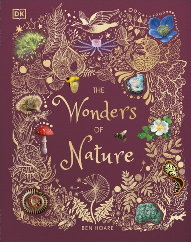 The Wonders Of Nature