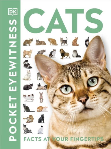 Cats Facts At Your Fingertips