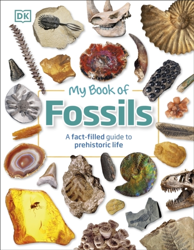 My Book Of Fossils A Fact-Filled Guide To Prehistoric Life