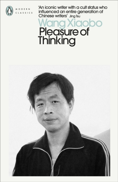 Pleasure Of Thinking