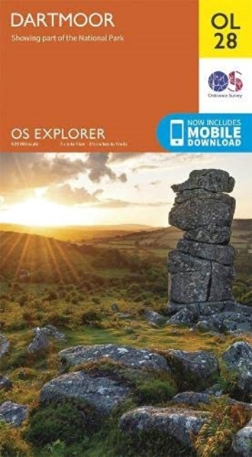 Billede af Dartmoor