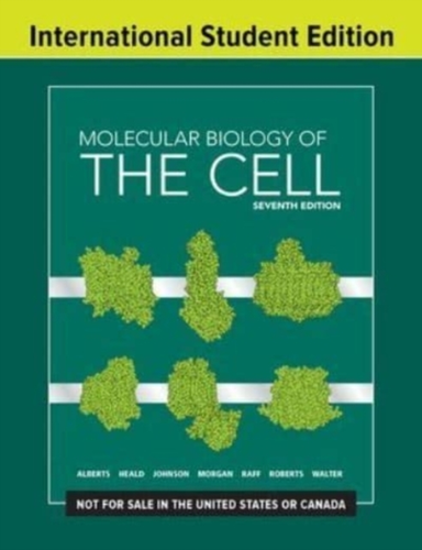 Molecular Biology Of The Cell