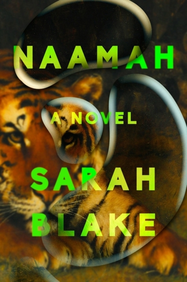 Naamah A Novel