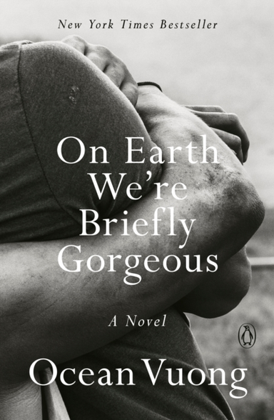 On Earth We'Re Briefly Gorgeous A Novel