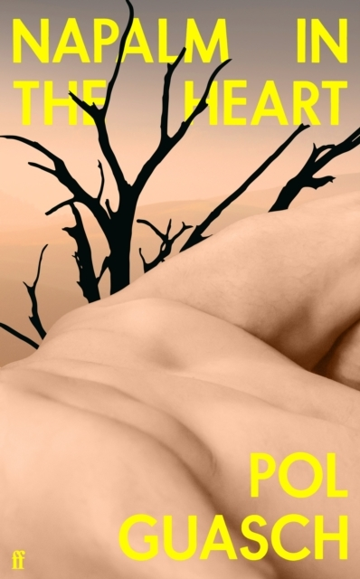 Billede af Napalm In The Heart 'Innovative And Original' Colm Toibin
