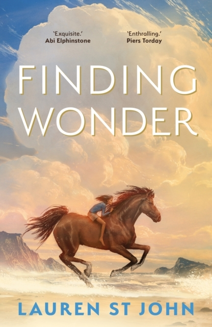 Billede af Finding Wonder An Unforgettable Adventure From The One Dolla