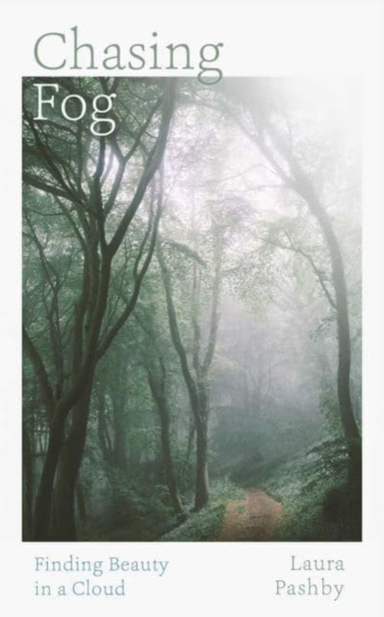 Chasing Fog Finding Enchantment In A Cloud