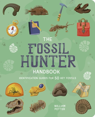 The Fossil Hunter Handbook Identification Guides For 50 Key