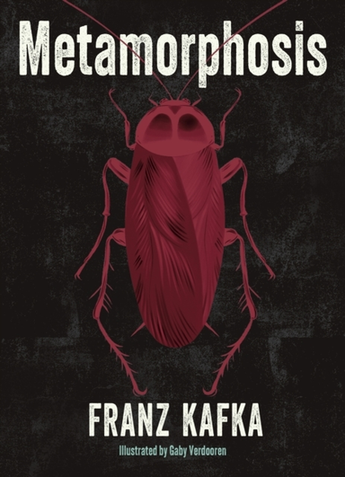 Metamorphosis Illustrated By Gaby Verdooren