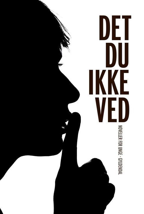 Billede af Det du ikke ved