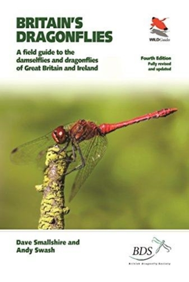 Britain'S Dragonflies A Field Guide To The Damselflies And D