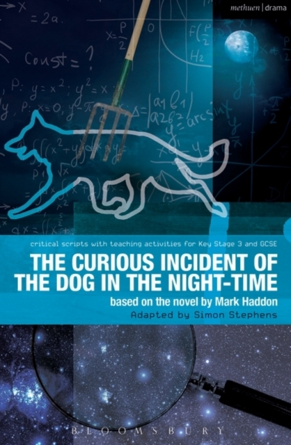 Billede af The Curious Incident Of The Dog In The Night-Time The Play