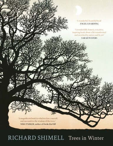 Trees In Winter